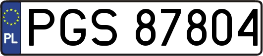 PGS87804