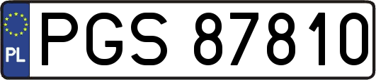 PGS87810