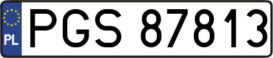 PGS87813