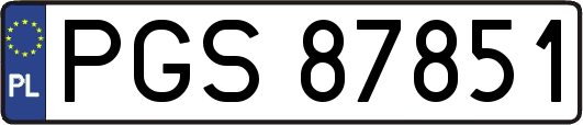 PGS87851