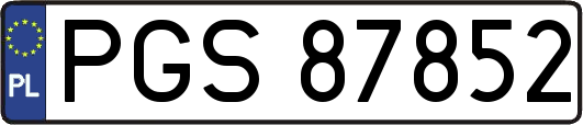 PGS87852