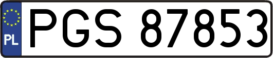 PGS87853