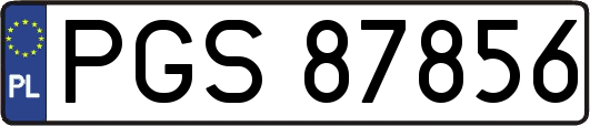 PGS87856