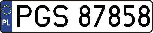 PGS87858