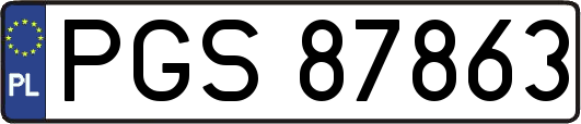 PGS87863