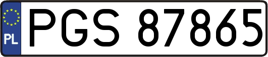 PGS87865