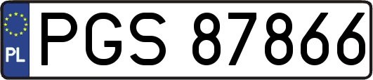 PGS87866