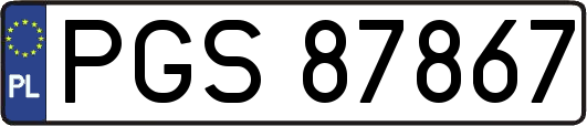 PGS87867