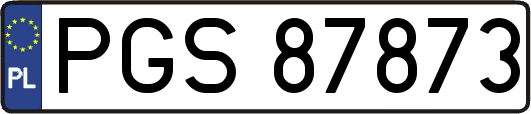 PGS87873