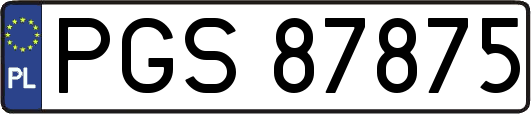 PGS87875