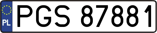 PGS87881
