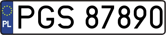 PGS87890
