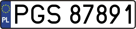 PGS87891