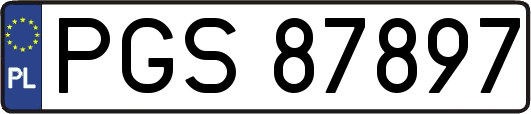 PGS87897