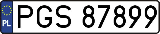 PGS87899
