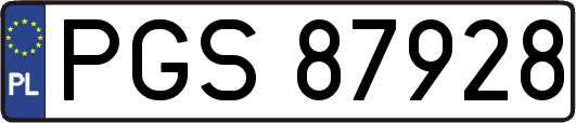 PGS87928