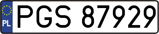 PGS87929