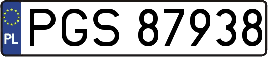 PGS87938