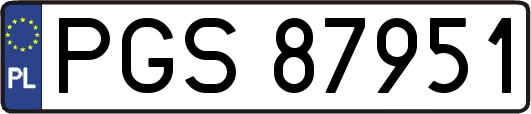 PGS87951