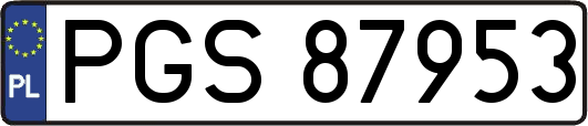 PGS87953