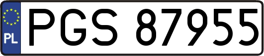 PGS87955
