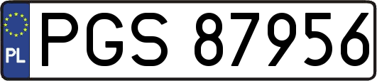 PGS87956