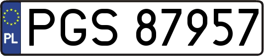PGS87957
