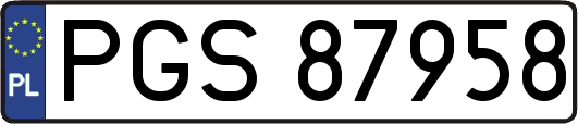 PGS87958