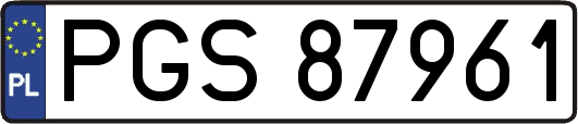 PGS87961