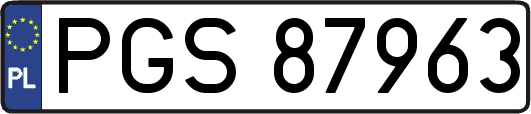 PGS87963