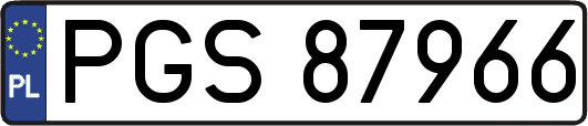 PGS87966