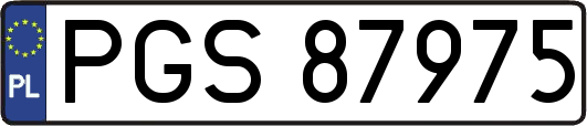 PGS87975