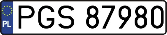 PGS87980