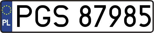 PGS87985