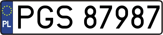 PGS87987