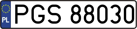 PGS88030