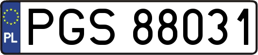 PGS88031