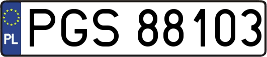 PGS88103