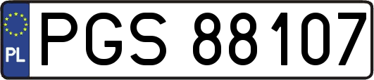 PGS88107