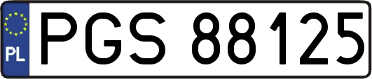 PGS88125