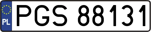 PGS88131
