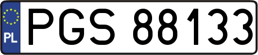 PGS88133