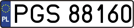 PGS88160