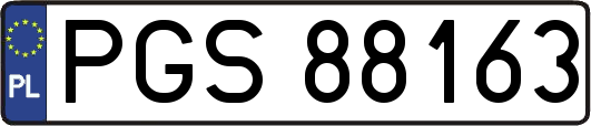 PGS88163