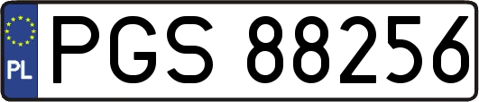 PGS88256