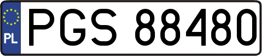 PGS88480