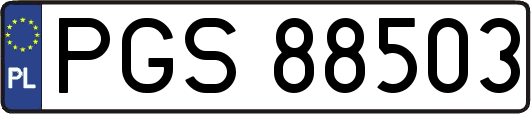 PGS88503