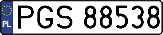PGS88538