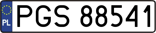 PGS88541
