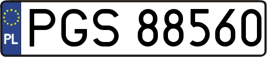 PGS88560